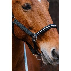 Nylonhalfter Equithème Domino Grün Grün Nylonhalfter Equithème Domino Grün Grün