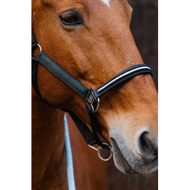 Nylonhalfter Equithème Domino Grün Grün Nylonhalfter Equithème Domino Grün Grün
