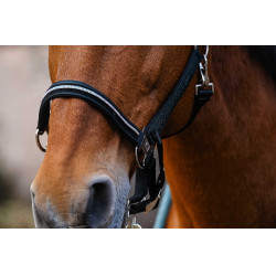 Nylonhalfter Equithème Domino Grün Grün Nylonhalfter Equithème Domino Grün Grün