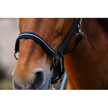 Nylonhalfter Equithème Domino Grün Grün Nylonhalfter Equithème Domino Grün Grün