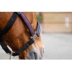 Nylonhalfter Equithème Domino Violett Lila Nylonhalfter Equithème Domino Violett Lila
