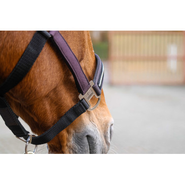 Nylonhalfter Equithème Domino Violett Lila Nylonhalfter Equithème Domino Violett Lila