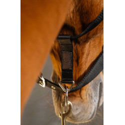 Nylonhalfter Equithème Domino Bordeaux Nylonhalfter Equithème Domino Bordeaux