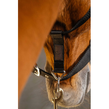 Nylonhalfter Equithème Domino Bordeaux Nylonhalfter Equithème Domino Bordeaux
