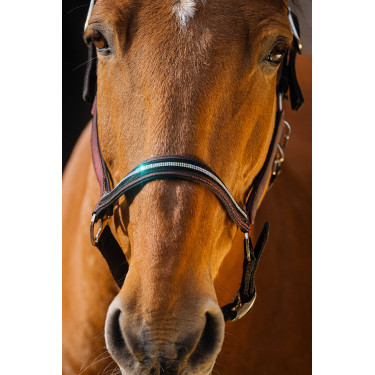 Nylonhalfter Equithème Domino Bordeaux Nylonhalfter Equithème Domino Bordeaux