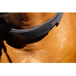 Reitriemen für das Reiten ohne Sattel Norton Schwarz Reitriemen für das Reiten ohne Sattel Norton Schwarz