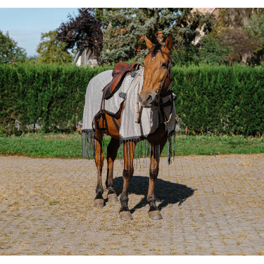 Arbeitshemd Riding World fliegenabwehrend Grau