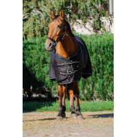 Glänzendes Hemd Riding World Schwarz