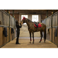 Gamaschen mit Sprunggelenkschutz Lami-Cell Elite Rot