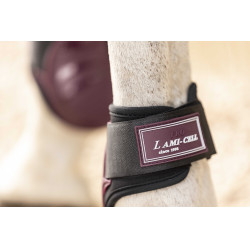 Gamaschen mit Sprunggelenkschutz Lami-Cell Elite Bordeaux