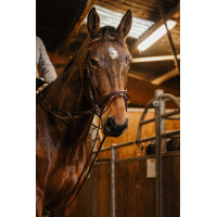 Deutsche Zügel Gurt Norton Pro 13mm Havanna Braun Deutsche Zügel Gurt Norton Pro 13mm Havanna Braun