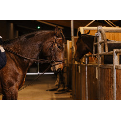 Deutsche Zügel Gurt Norton Pro 13mm Havanna Braun