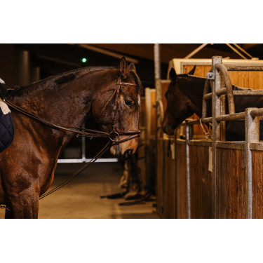 Deutsche Zügel Gurt Norton Pro 13mm Havanna Braun