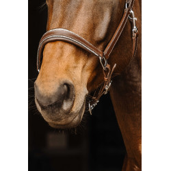 Lederhalfter Norton Rock Havanna Braun