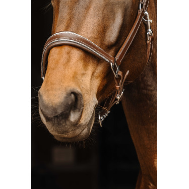 Lederhalfter Norton Rock Havanna Braun