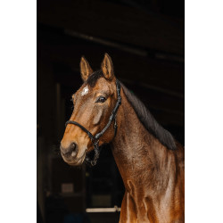 Halfter Leder/Seil Norton Schwarz