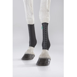 Equicrown Fit Hinterfessel