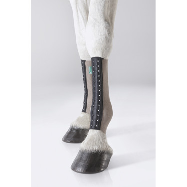 Equicrown Fit silver Hinterkanone Equicrown Fit silver Hinterkanone
