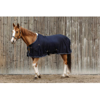 Equithème Micro-Mesh-Hemd Marineblau