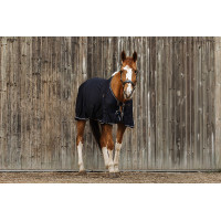 Equithème Micro-Mesh-Hemd Marineblau