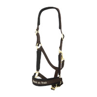 Halfter Werano Back On Track Braun