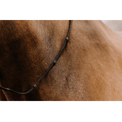 Zügel Gurte Norton Club Oily Schwarz