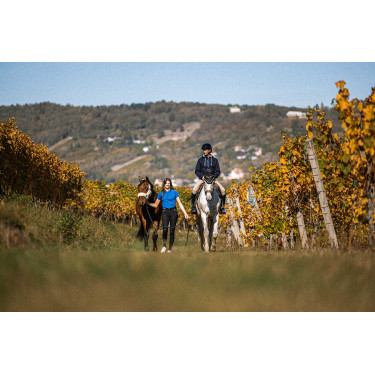 Equithème Hervé Sweatshirt Marineblau