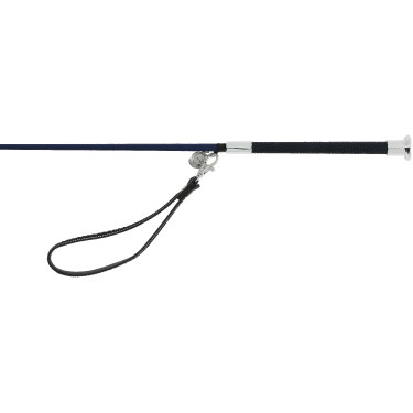 Dressurgerte Equithème Charme Blau Dressurgerte Equithème Charme Blau