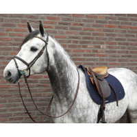 Teppich Nr.Ⅰ CSO Back On Track Schwarz