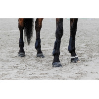 Fesselkopfgamaschen Equithème
