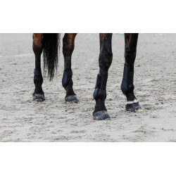 Fesselkopfgamaschen Equithème Schwarz