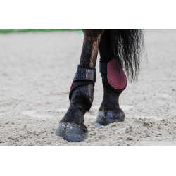 Fesselkopfgamaschen Equithème Bordeaux