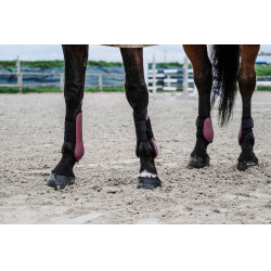 Fesselkopfgamaschen Equithème Bordeaux