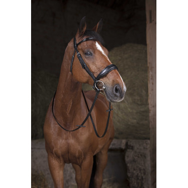 NORTON Netz-Zügel – 16 mm Schwarz