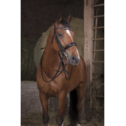 Trensenzügel Norton 13 mm Schwarz