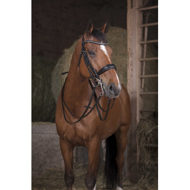 Trensenzügel Norton 13 mm Schwarz