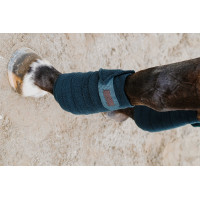 Equithème Polo-Bandagen im 4er-Set Dunkelgrün Gr&uuml;n