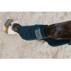 Equithème Polo-Bandagen im 4er-Set Dunkelgrün Gr&uuml;n