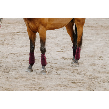 Equithème Polo-Bandagen im 4er-Set Bordeaux