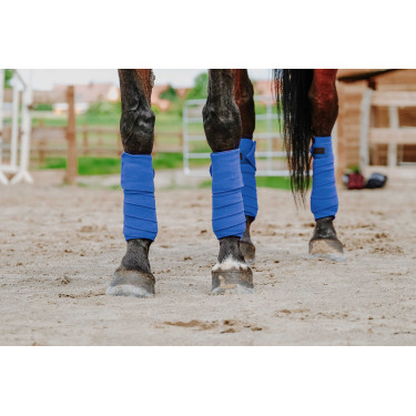 Equithème Polo-Bandagen im 4er-Set Königsblau