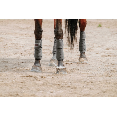 Equithème Polo-Bandagen im 4er-Set Grau