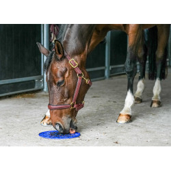 Likit Leckmatte Graze Maze Blau