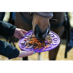 Likit Leckmatte Graze Maze Violett Lila