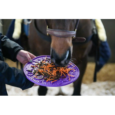 Likit Leckmatte Graze Maze Violett Lila