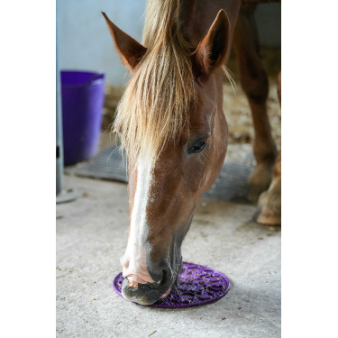 Likit Leckmatte Graze Maze Violett Lila