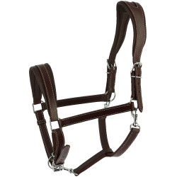 Ardenner Halfter Norton Havanna Braun