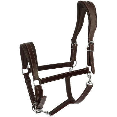 Ardenner Halfter Norton Havanna Braun