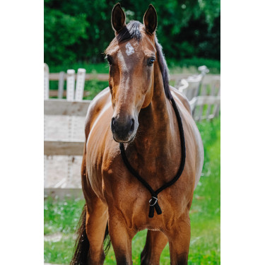 Norton-Kordel Schwarz