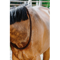 Norton-Kordel Schwarz Norton-Kordel Schwarz