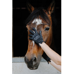 Handschuhe Je t'aime Equithème Strass Schwarz